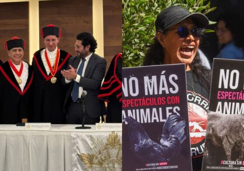 DL3CVP5A7FFTPA3ZMNDNVREODU