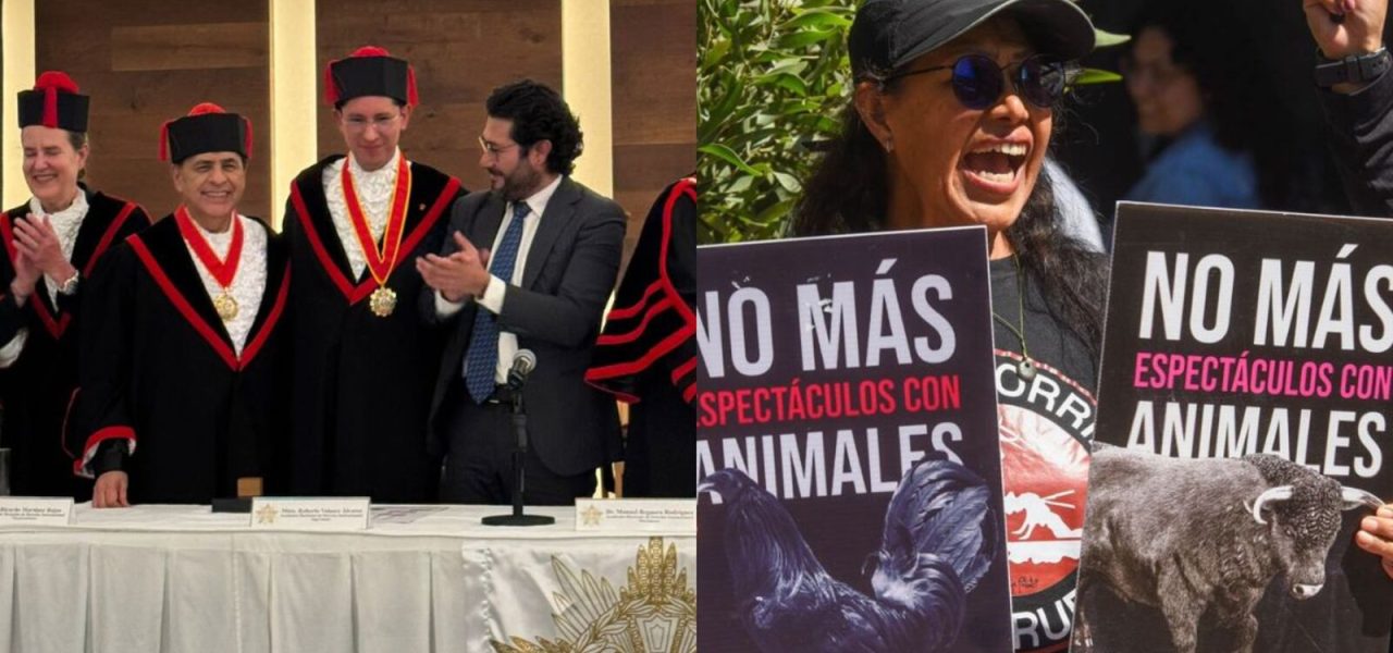 DL3CVP5A7FFTPA3ZMNDNVREODU